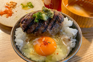 挽肉と米 ご飯にハンバーグと卵と薬味をのせて