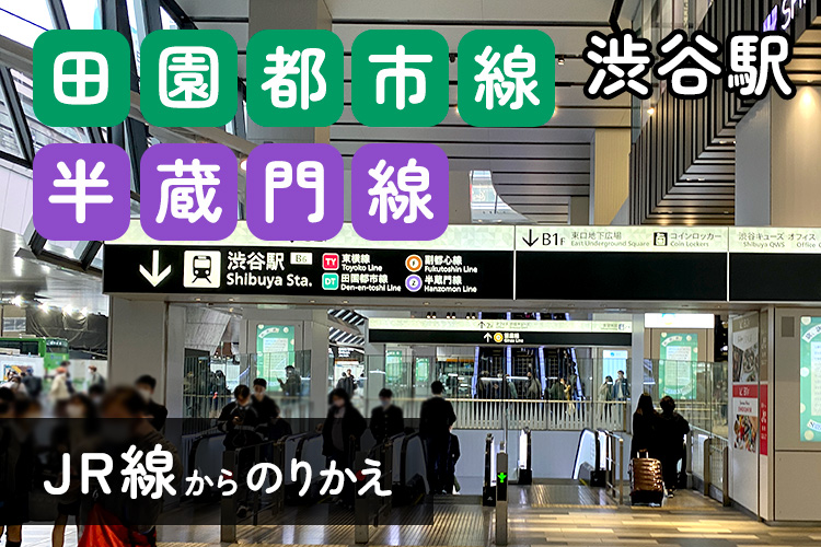 縄跳びの消費カロリーはどれくらい?